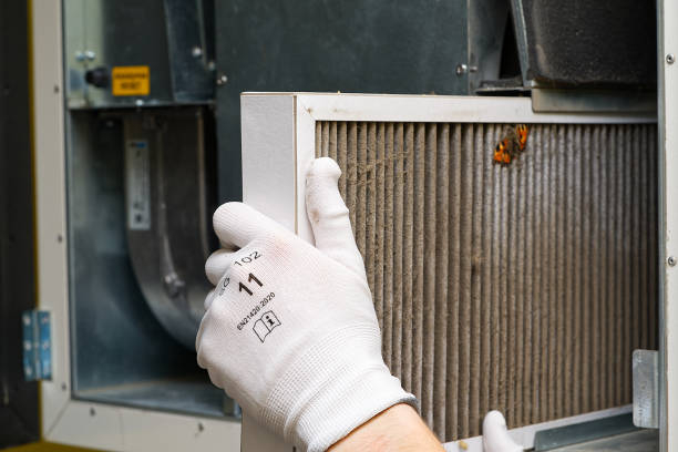 Best Air Duct Cleaning Near Me  in North Rock Springs, WY